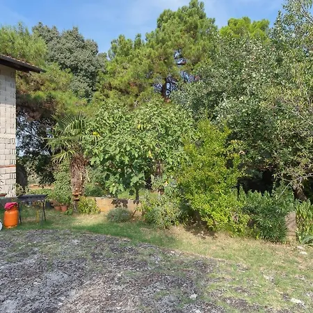 Apartment St. Becic Porec